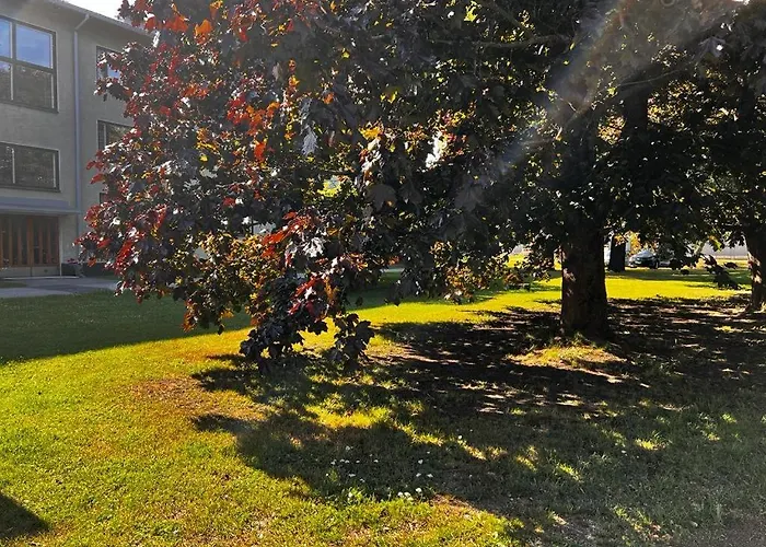 1 Bedroom Comfortable Top Floor In Puotila Near Metrostation And Sea