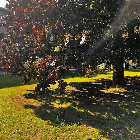 1 Bedroom Comfortable Top Floor In Puotila Near Metrostation And Sea